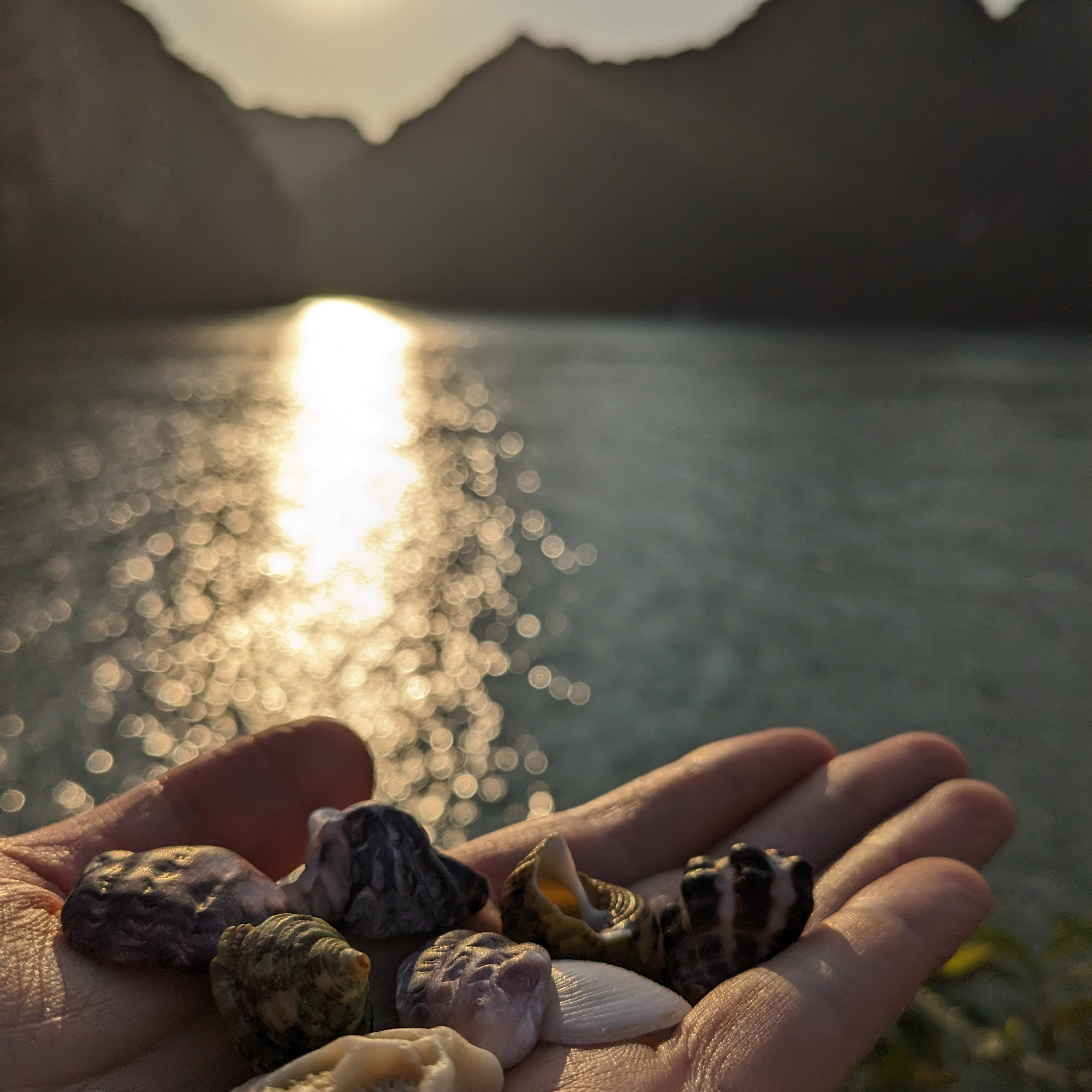 Intentionally Extraordinary